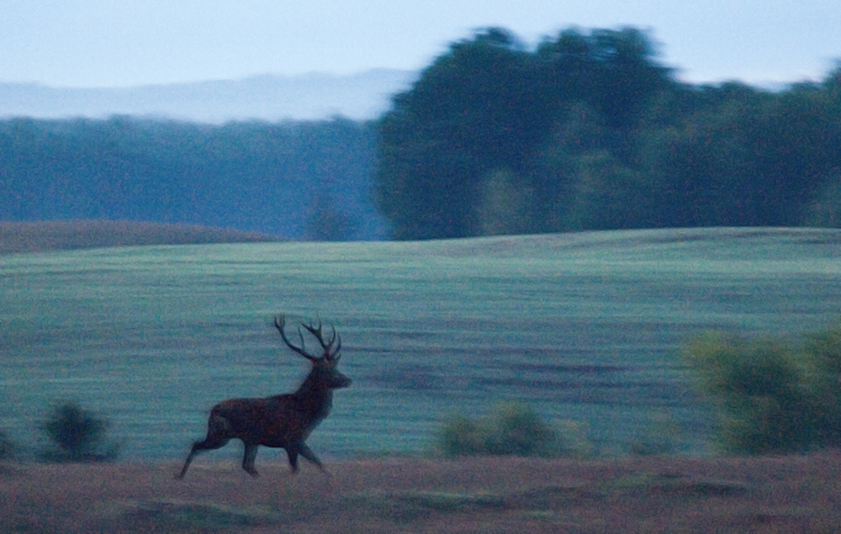 srebrny-klon-pensjonat-kaszuby-salon-7